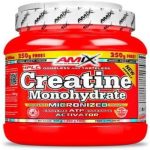 amix creatine micronized 500x500