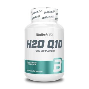H20 Q10