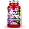 amix-tribu-zma-500×500-v2